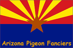 Community logo